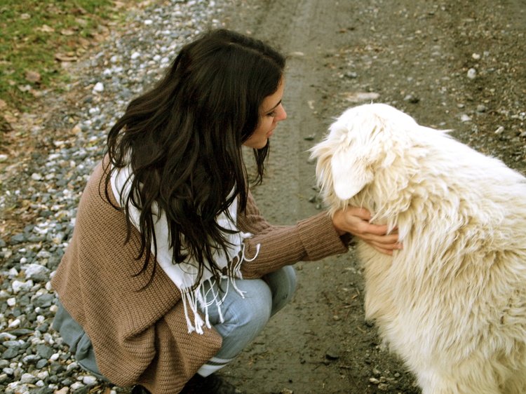 Starting fresh in Spain