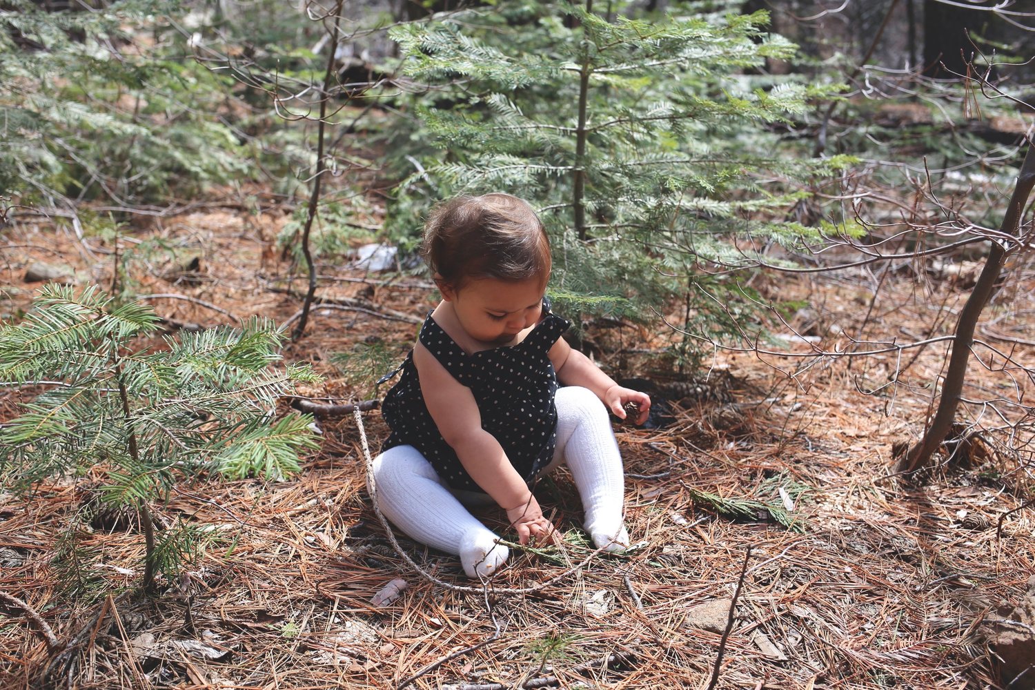 Owning meaningful things